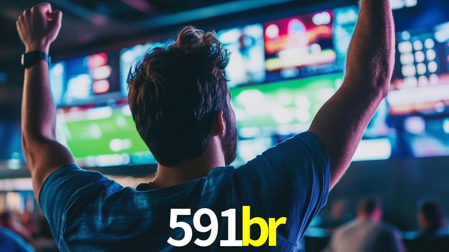 591br.com